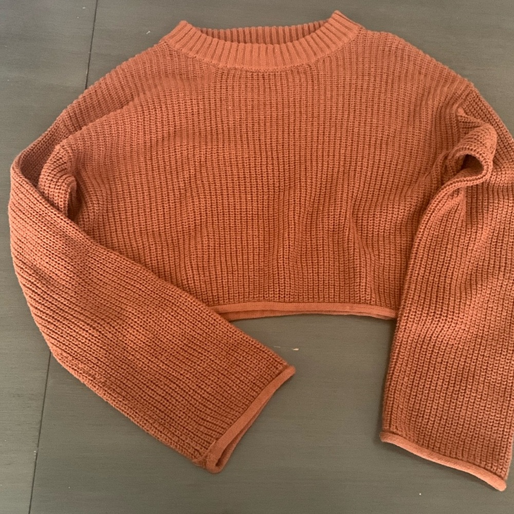 Brown cropped sweater